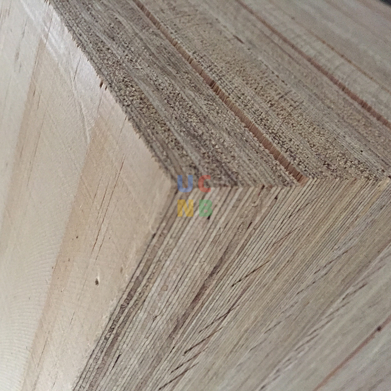 Treated Pine LVL Wood Beams for Enhanced Longevity